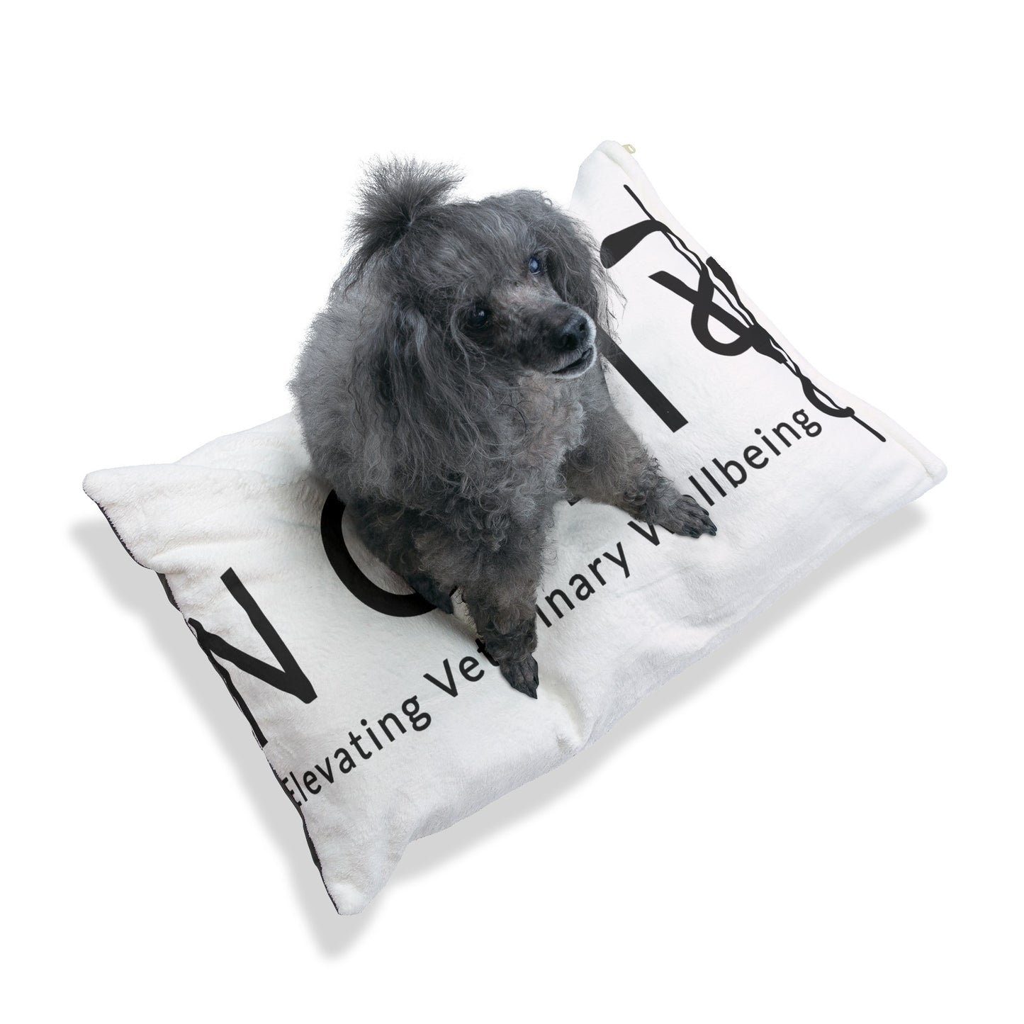 NOMV Pet Bed