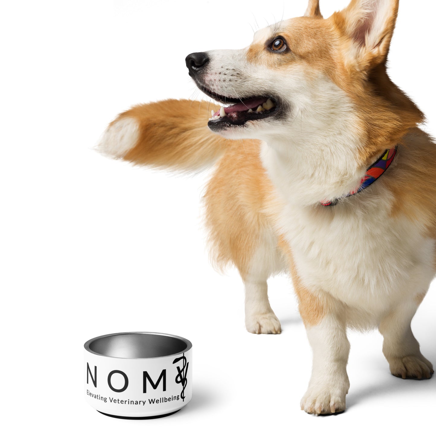 NOMV Pet bowl