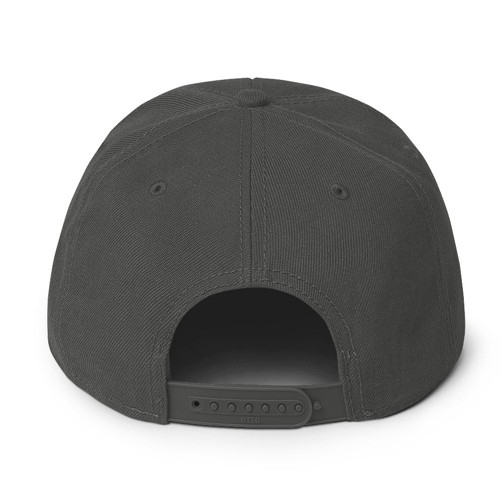 NOMV Snapback Hat